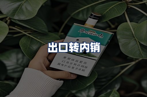 出口转内销